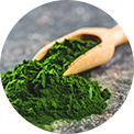 Chlorella.
