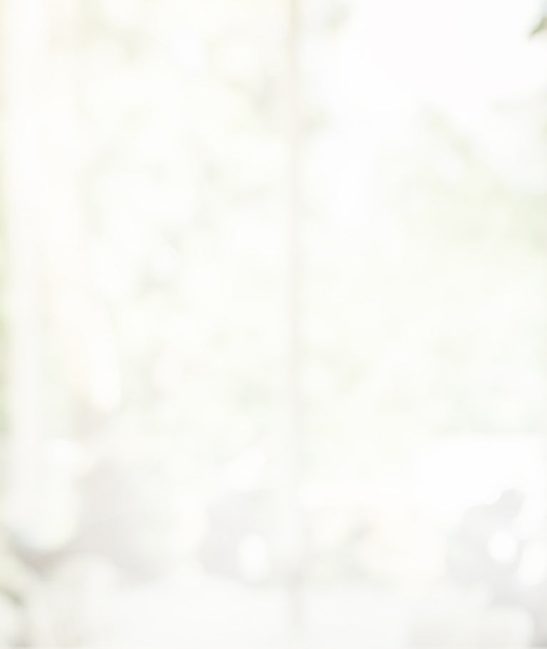 Protein Superfood - Rootz.